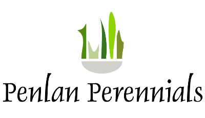 Penlan Perennials Nursery